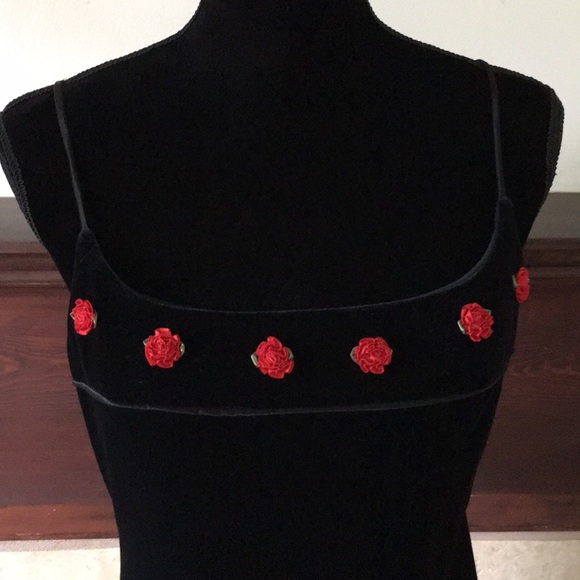 Betsy & Adam Dresses & Skirts - 🦊Betsy & Adam full length velvet gown w/rosebuds